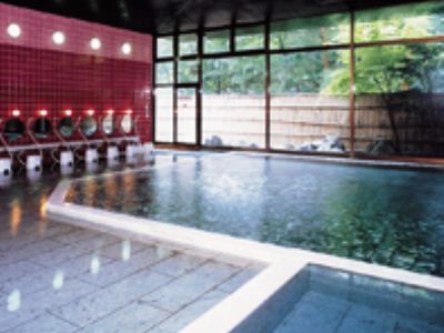 Kinugawa Royal Hotel نيكو المظهر الخارجي الصورة